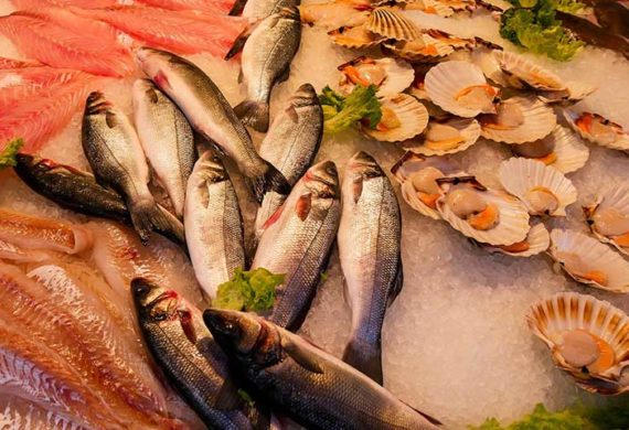 魚食を応援する協会